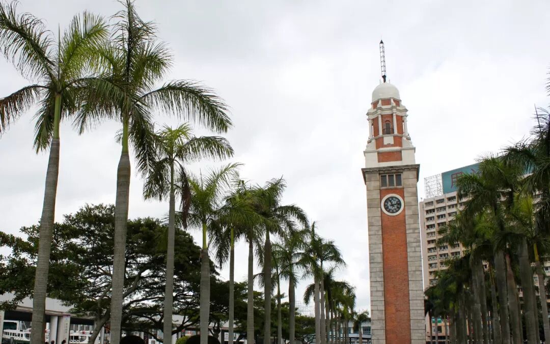 香港优才计划